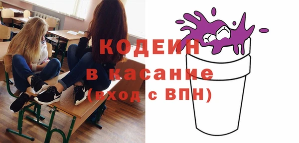 индика Балабаново