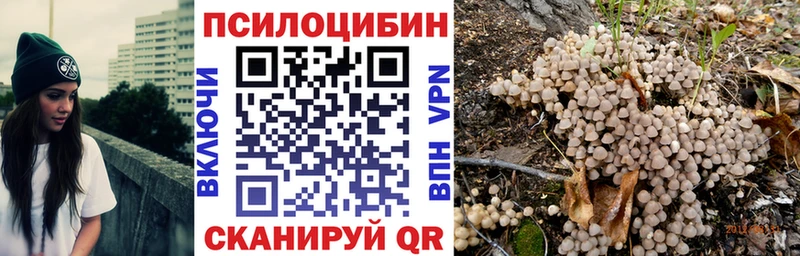 Галлюциногенные грибы MAGIC MUSHROOMS  купить   Нарьян-Мар 
